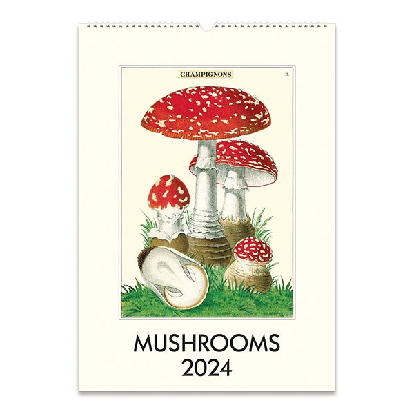 2024 벽걸이캘린더 Mushrooms