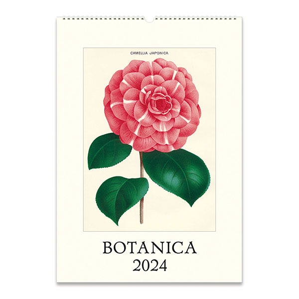 2024 벽걸이캘린더 Botanica