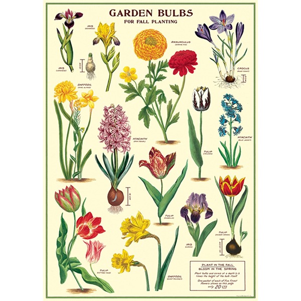 카발리니 포스터-Garden Bulbs