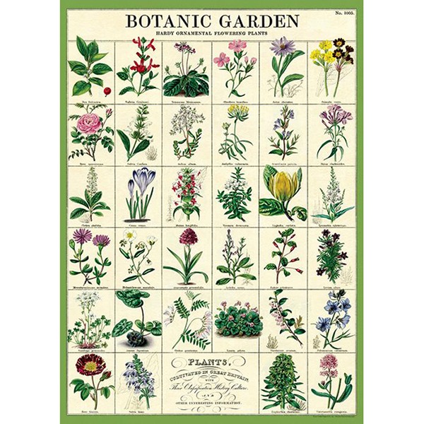 카발리니 포스터-Botanic Garden