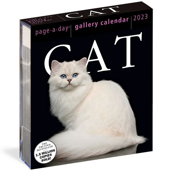 2023 갤러리캘린더 Cat