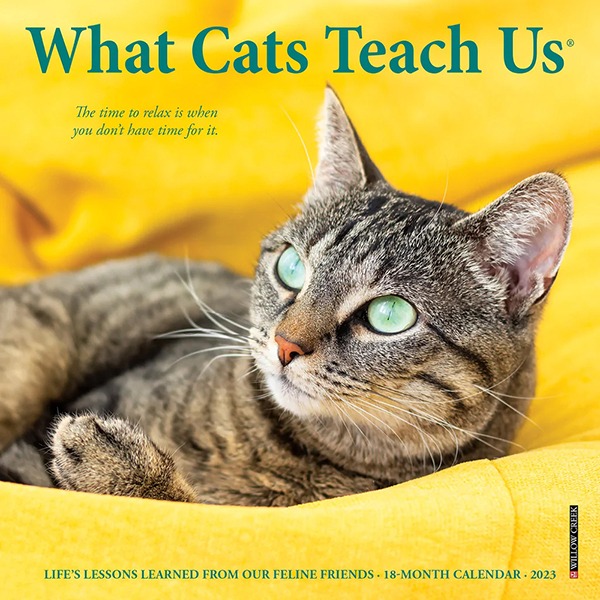 2023 미니캘린더 What Cats Teach Us