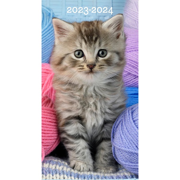 2023-2024 플래너 Cute As a Kitten