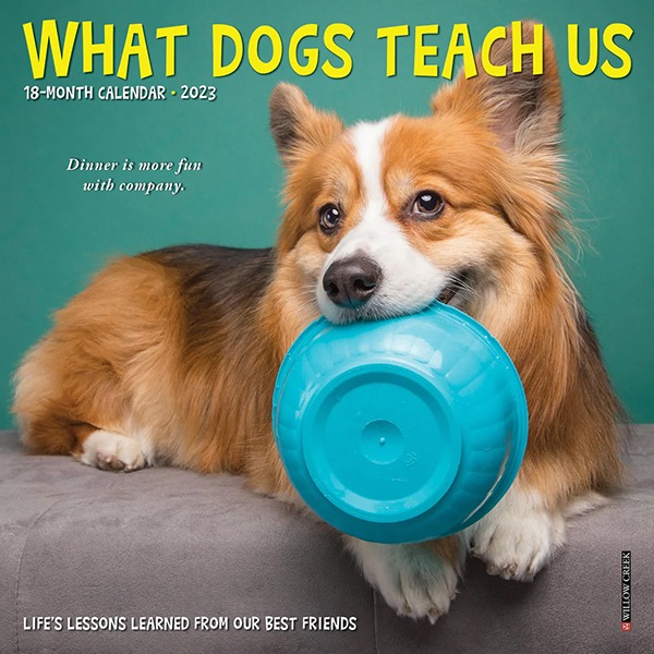 2023 미니캘린더 What Dogs Teach Us