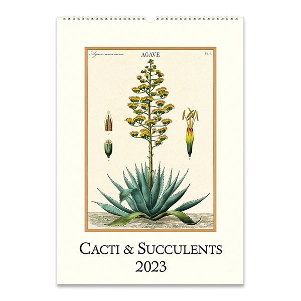 2023 벽걸이캘린더 Succulents